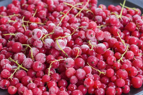 Ribes rosso congelato in un piatto nero su sfondo nero — Foto Stock