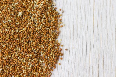 Beyaz arka planda kırmızı darı taneleri. Üst Manzara. Metin için bir yer var