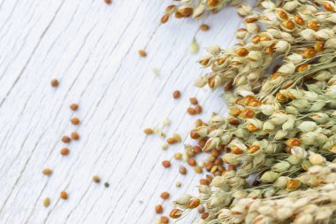 Beyaz arka planda kırmızı darılar. Üst Manzara. Metin için bir yer var