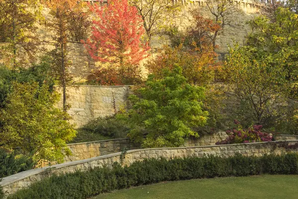 Parque de paisaje de otoño, árboles en las terrazas, hortensias florece — Foto de Stock