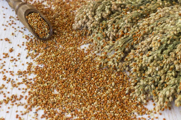 곡물과 붉은 기장의 잔가지. 맨 위 보기 — 스톡 사진