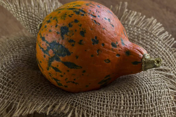 Pomarańczowa dynia z kucykiem na osnowie. Drewniane brązowe tło — Zdjęcie stockowe