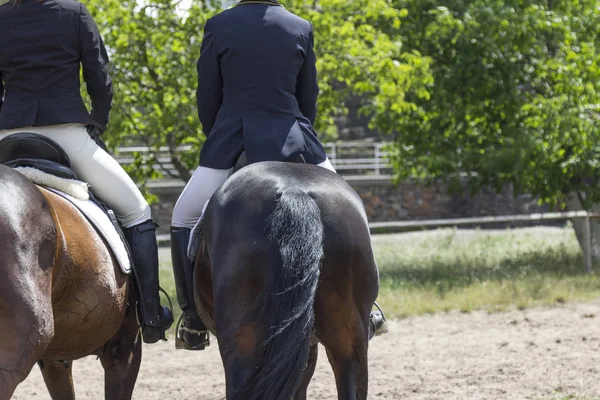 Corridas de cavalos, dois cavaleiros na sela, parte da armação — Fotografia de Stock