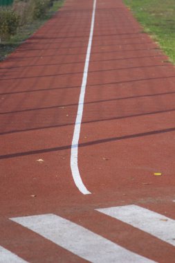 Sarı yapraklı kırmızı spor pisti