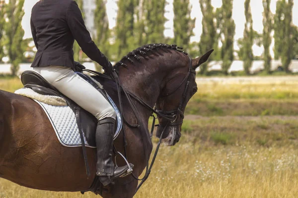 Jinete en la silla de montar, el caballo camina sobre la hierba, parte del marco — Foto de Stock