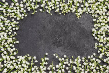 Vadinin bahar zambakları. Siyah arka plan. Boşluğu kopyala