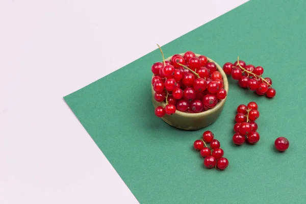 Červený Rybíz Keramické Krabici Geometrické Růžové Zelené Pozadí Ležel Kopírovat — Stock fotografie