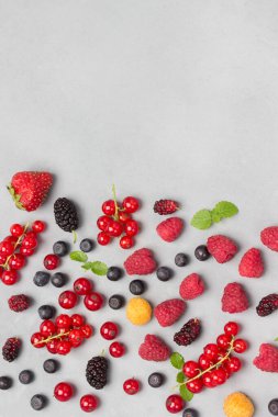 Gri arka planda çok renkli böğürtlenlerle dolu bir hayat. Kırmızı frenk üzümü, ahududu kırmızı ve sarı, yabanmersini, yeşil nane. Düz yatıyordu. Boşluğu kopyala