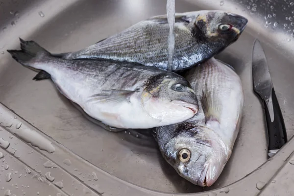 Três Peixes Dorado Pia Metal Fluxos Água Gotas Água Pia — Fotografia de Stock