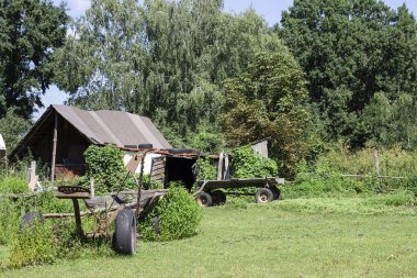 An old barn in an abandoned farm. Two horse-drawn carts near the barn. Green trees and a meadow around.