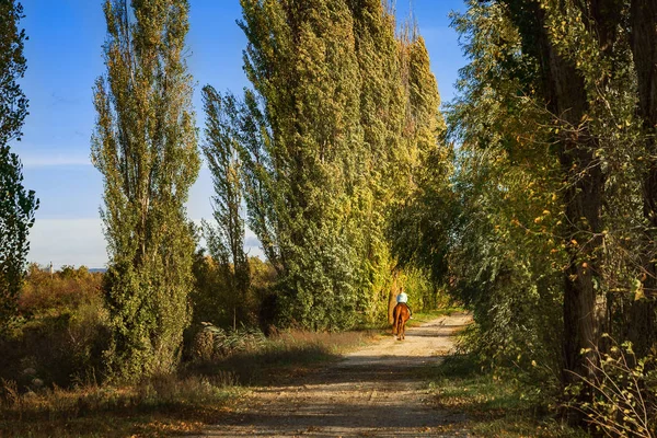 Una Passeggiata Giorno Riposo — Foto Stock