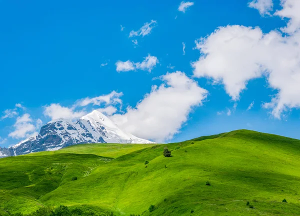 Paisagem Idílica Com Céu Azul Prados Verdes Frescos Topo Montanha — Fotografia de Stock