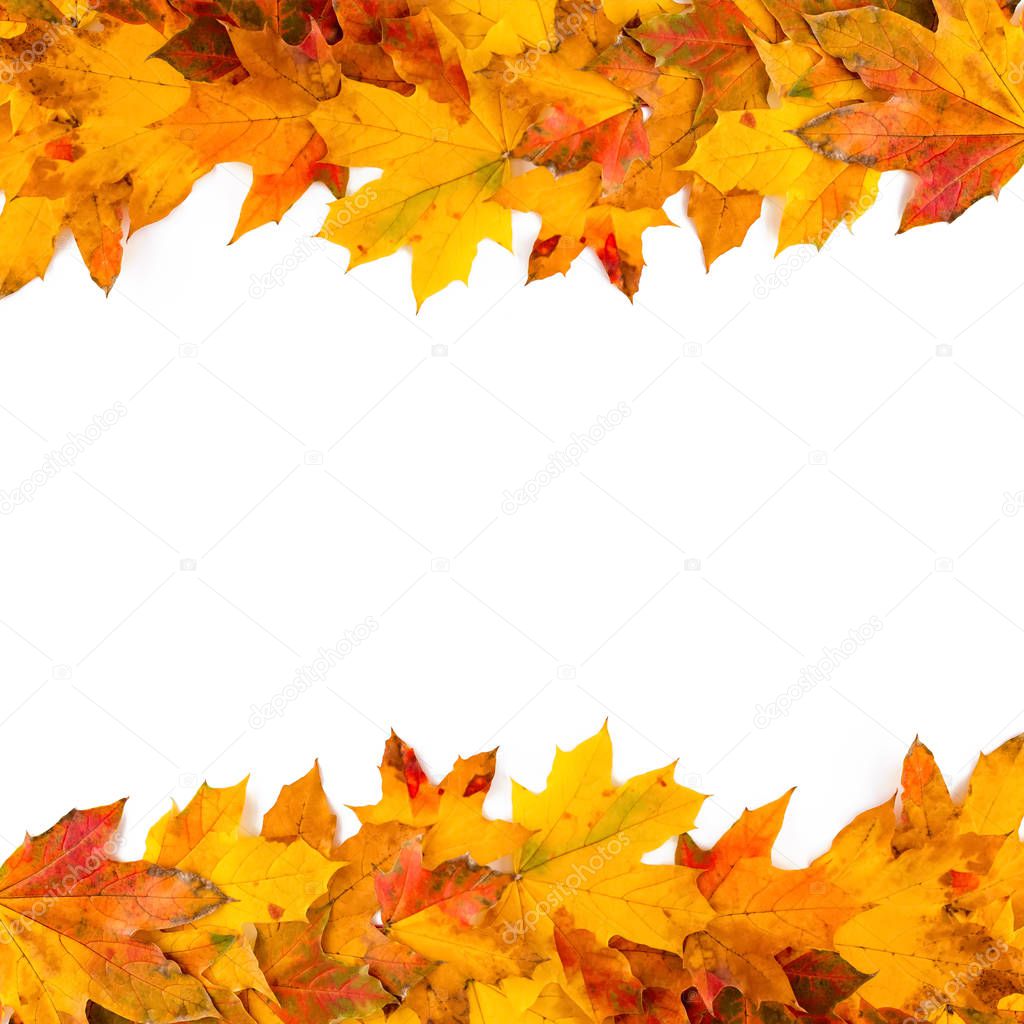 Autumn leaves frame nature background