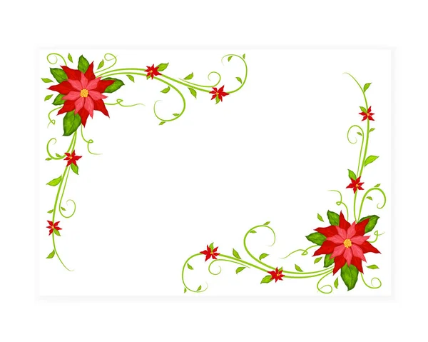 Cartão Branco Com Vetor Flores Poinsettia —  Vetores de Stock