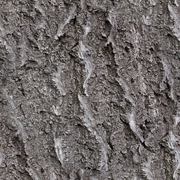 Bark Tree Seamless Pattern Nature Background — Stock Photo, Image