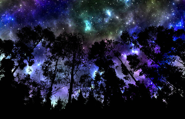 Night sky with stars and trees nature background
