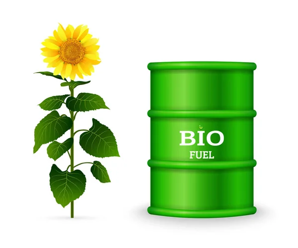 金属桶与生物燃料和向日葵查出的白色背景向量 生物燃料工厂概念 — 图库矢量图片