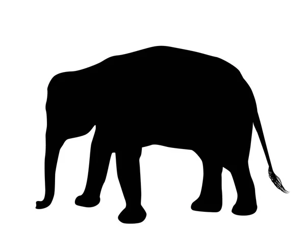 Silueta Elefante Aislada Vector Fondo Blanco — Archivo Imágenes Vectoriales