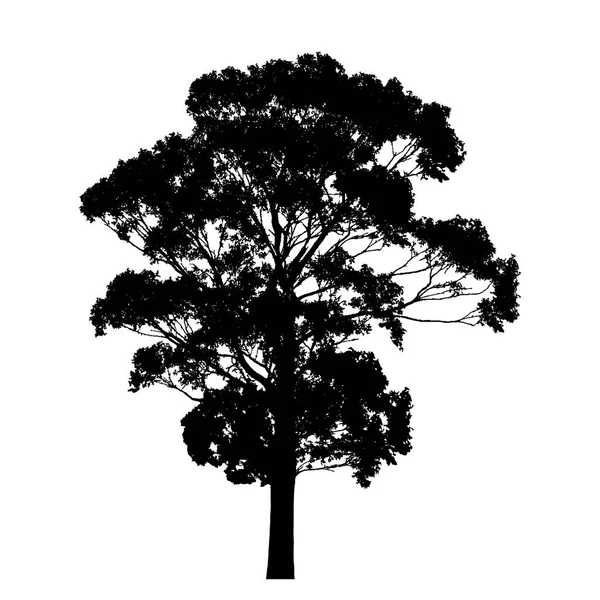 Silueta Árbol Con Hojas Aisladas Sobre Fondo Blanco Vector — Archivo Imágenes Vectoriales