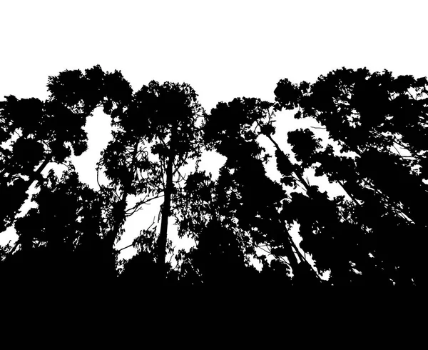 Silhouette Forestière Isolée Sur Fond Blanc Vecteur — Image vectorielle