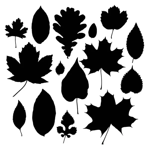 Feuilles Silhouettes Ensemble Isolé Sur Fond Blanc Vecteur — Image vectorielle