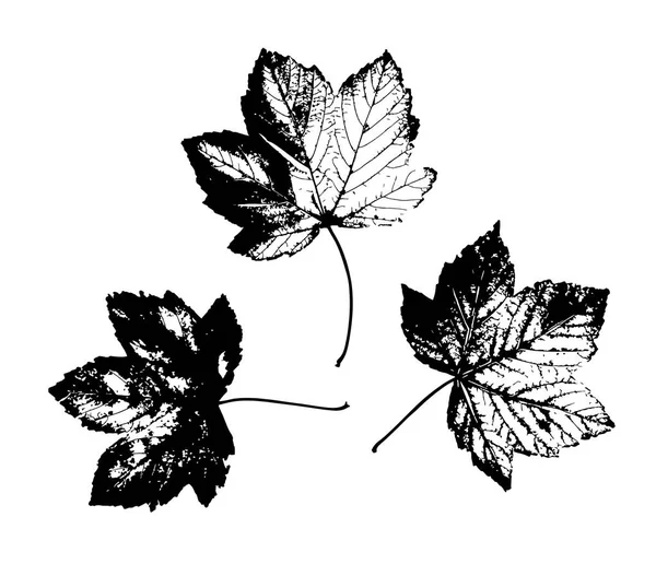 Deja Huellas Aisladas Vector Fondo Blanco — Archivo Imágenes Vectoriales