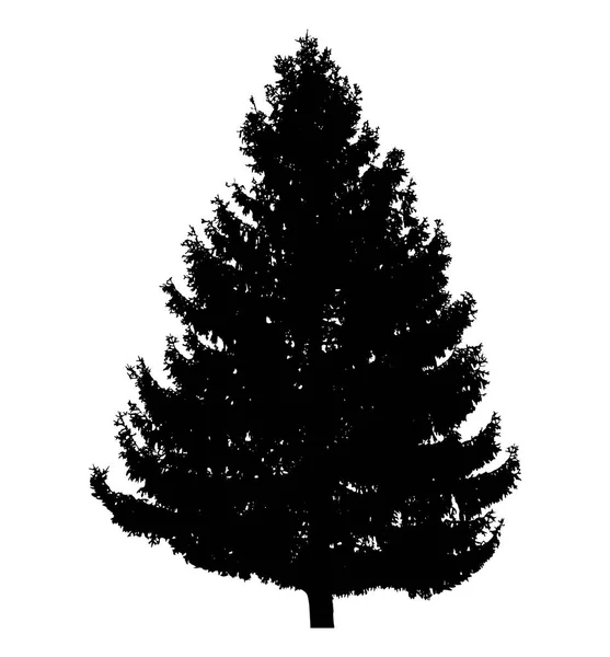 Beyaz Arka Plan Vektör Izole Çam Ağacı — Stok Vektör