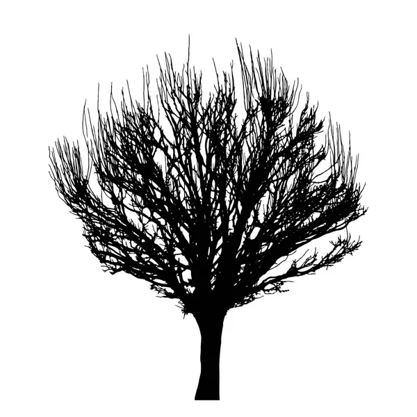 Silueta Del Árbol Aislado Vector Fondo Blanco — Archivo Imágenes Vectoriales