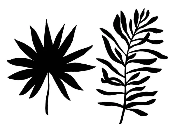 Tropische Blätter Silhouetten Isoliert Auf Weißem Hintergrund Vektor — Stockvektor