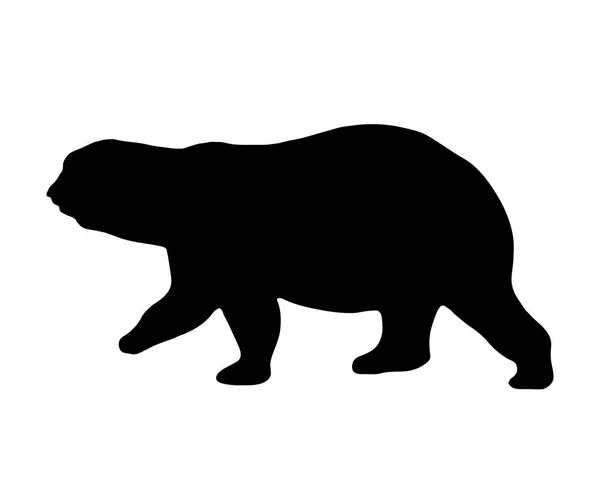 Silhueta Urso Polar Isolado Vetor Fundo Branco —  Vetores de Stock