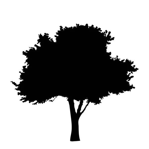 Träd Silhouette Isolerad Vit Bakgrund Vektor — Stock vektor