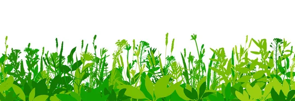Grüner Grasrand Isoliert Auf Weißem Hintergrund Vektor — Stockvektor