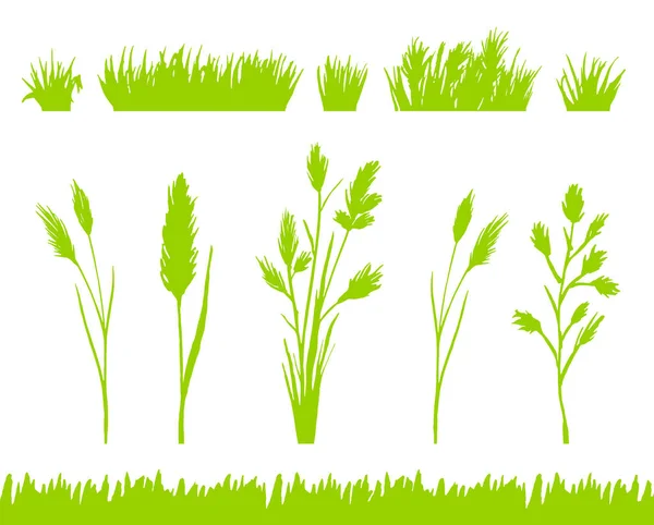 Groen Gras Silhouetten Set Geïsoleerd Een Witte Achtergrond Vector — Stockvector