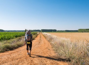 Lonely Pilgrim with backpack walking the Camino de Santiago in Spain, Way of St James clipart
