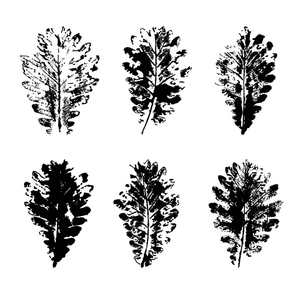 Chêne Laisse Des Empreintes Isolées Sur Fond Blanc Illustration Vectorielle — Image vectorielle