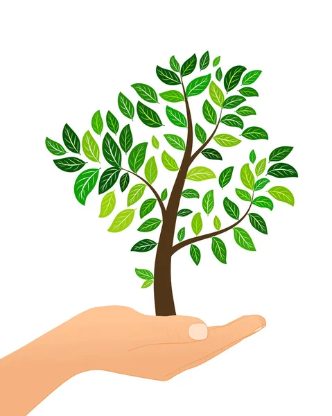 緑のツリーは葉手に白い背景の上の Isolaed エコの概念 ベクトル図 — ストックベクタ