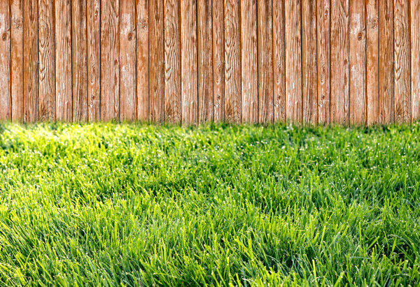 Wooden garden fence at backyard with green grass