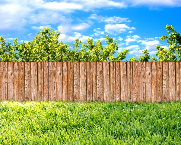 Dřevěný zahradní plot na dvorku, zelené trávy a modré nebe — Stock fotografie