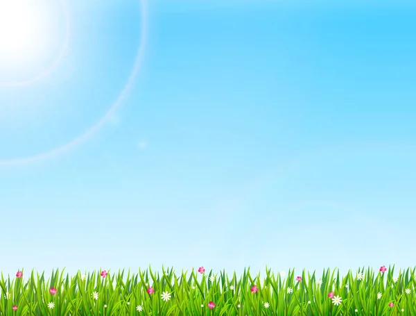 Spring or summer nature background with green grass and flowers.