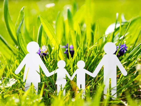 Família de papel no fundo de grama verde — Fotografia de Stock