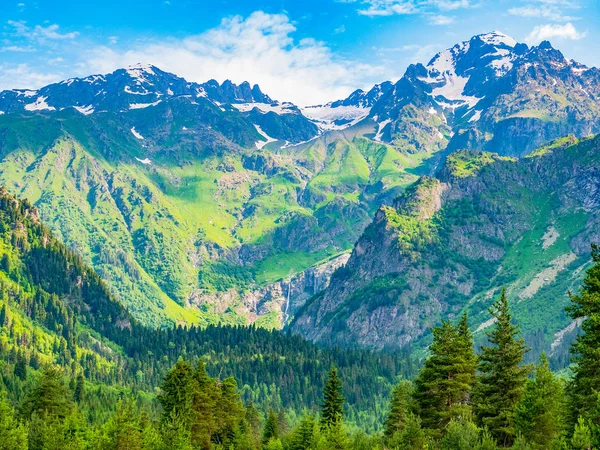 Paisagem idílica com céu azul, floresta verde e topo de montanha coberto de neve — Fotografia de Stock