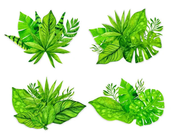 Tropical exotic leaves set on white background. Watercolor illustration — Stock Photo, Image