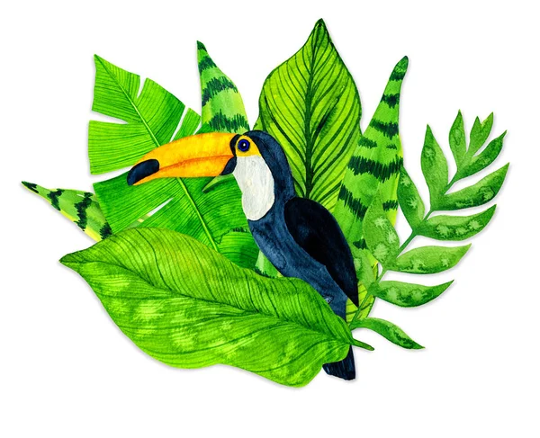 Watercolor tropical leaves and toucan on white background — Stock Photo, Image