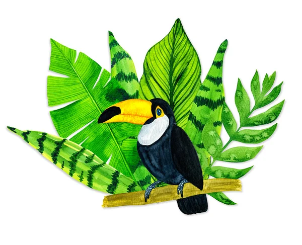 Watercolor tropical leaves and toucan on white background — Stock Photo, Image