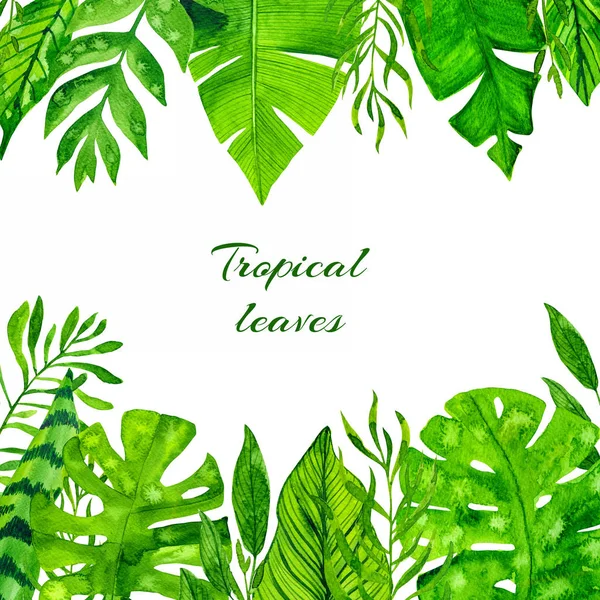 Акварель тропических листьев рамка на белом фоне — стоковое фото