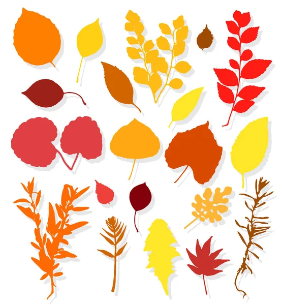 Coloridas hojas de otoño sobre fondo blanco — Vector de stock