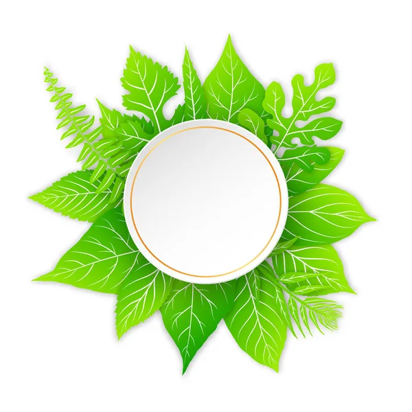Marco vectorial con hojas verdes — Vector de stock