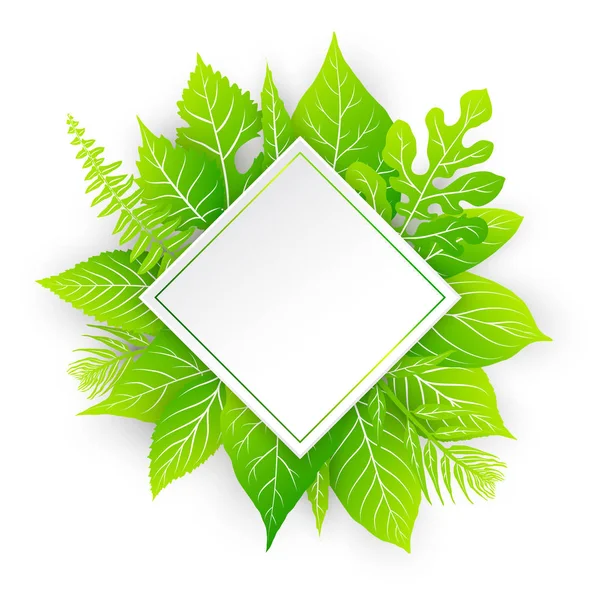 Marco vectorial con hojas verdes — Vector de stock