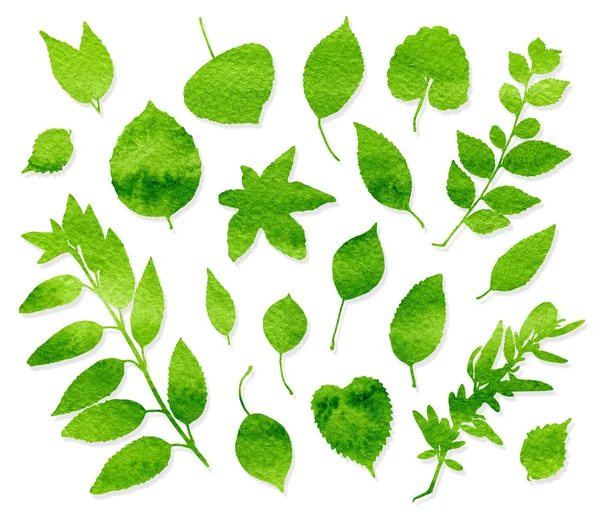 Watercolor green leaves set on white background — Stock Photo, Image