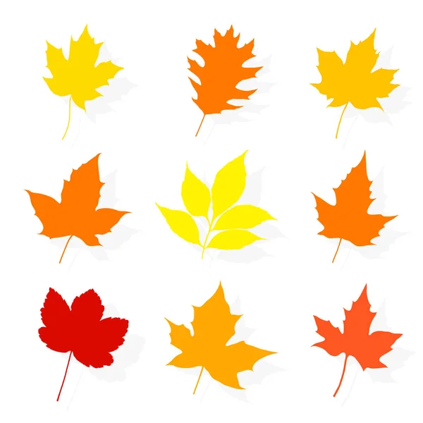 Folhas de outono coloridas definidas no fundo branco — Vetor de Stock